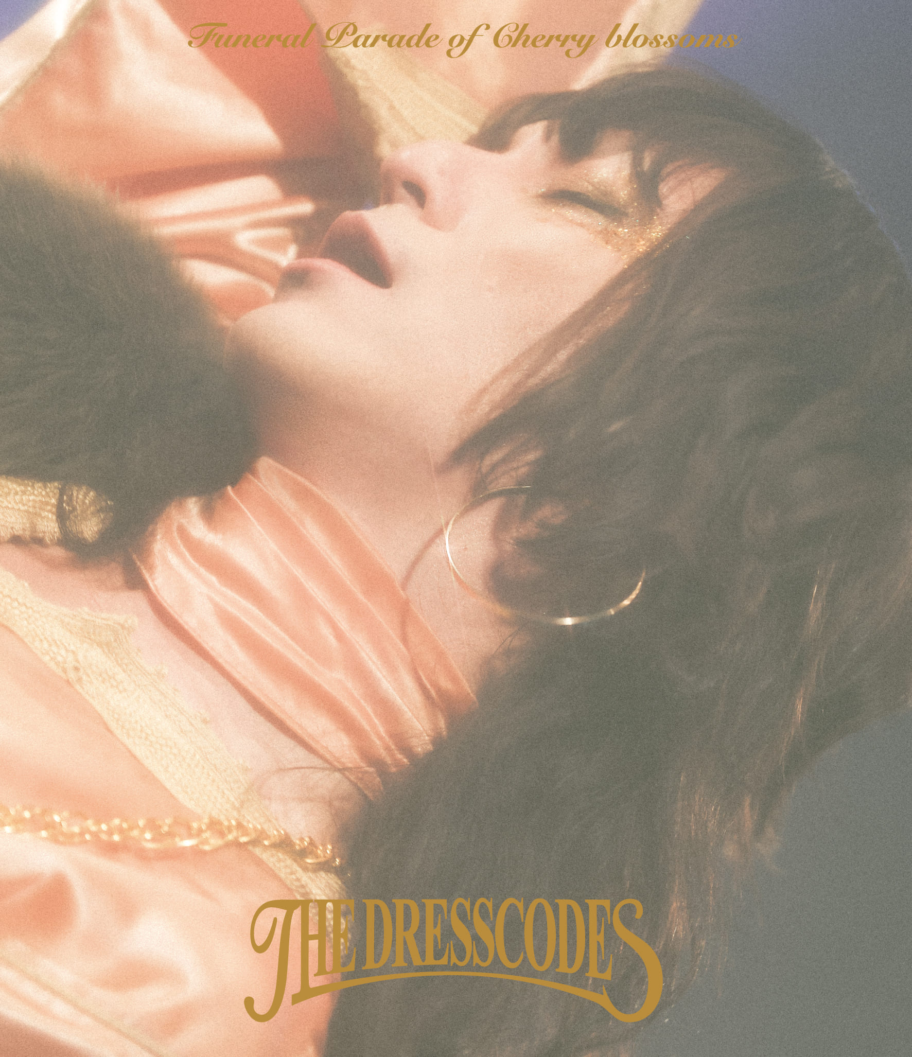 ドレスコーズ 3月20日発売［the dresscodes TOUR2023「散花奏奏」Live 